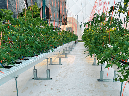 agriculture dome