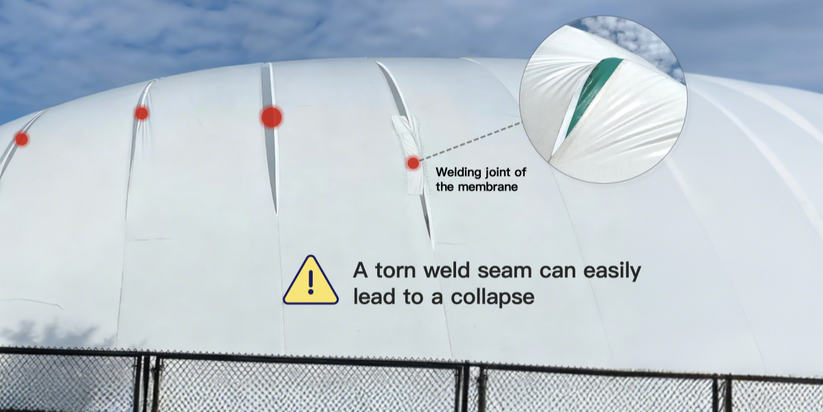Air Dome 101 Diagonal Orthogonal Steel Cable Net Systems-2